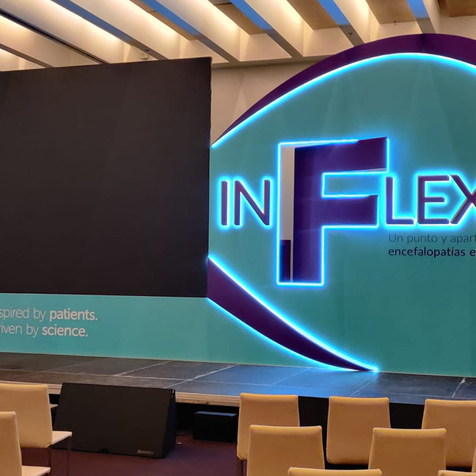 Proyecto InFlexión