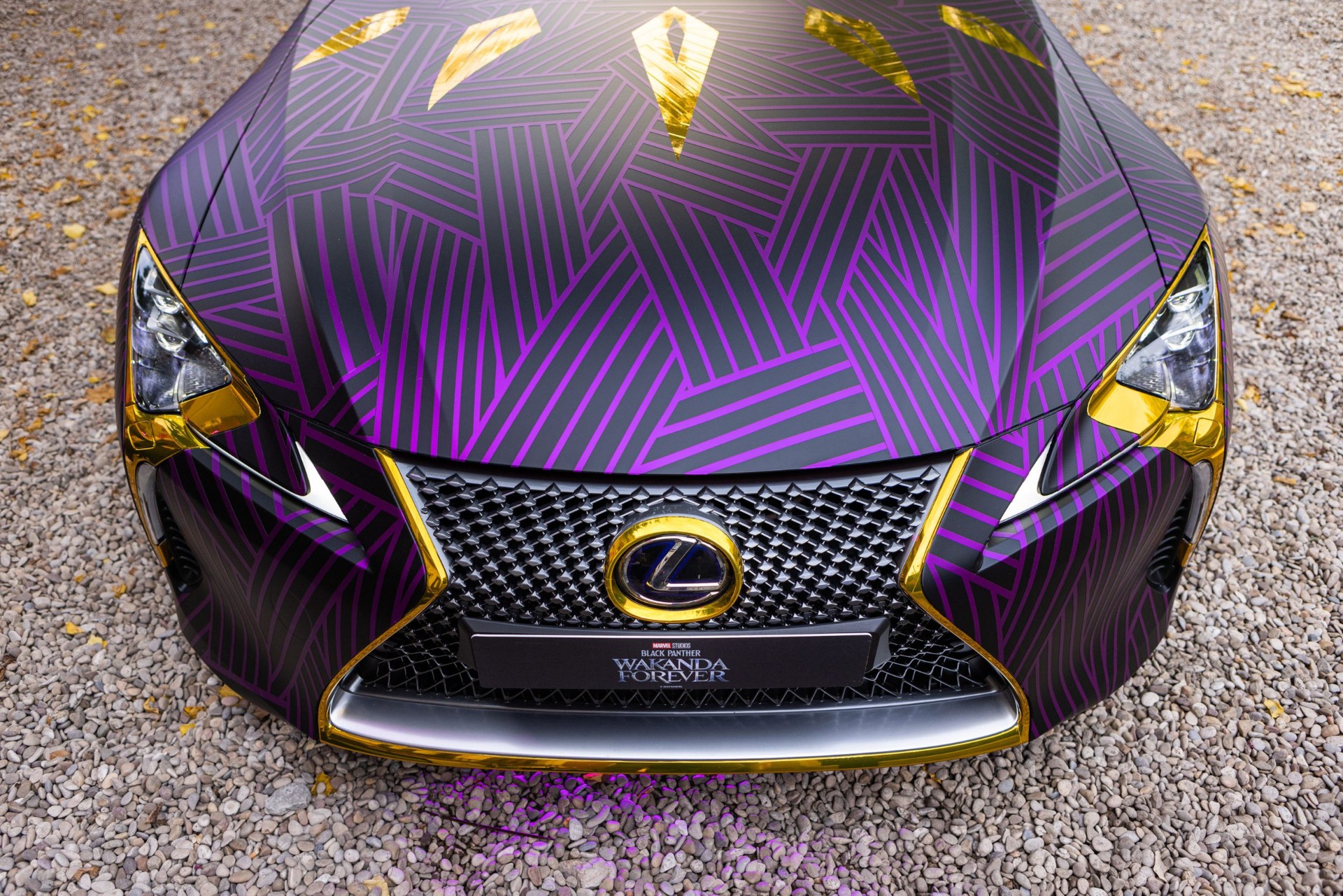 Car wrapping vinilado integral